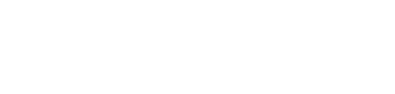 Texas Instruments